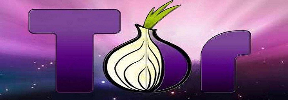 Tor для Андроид – Orbot как настроить 