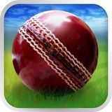 Cricket WorldCup Fever на андрод скачать бесплатно