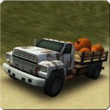 Dirt Road Trucker 3D