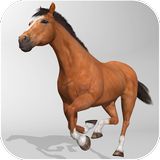 Horse Simulator 3D на андрод скачать бесплатно