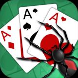 Spider Solitaire -Card Game