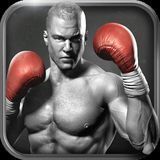 Real Boxing