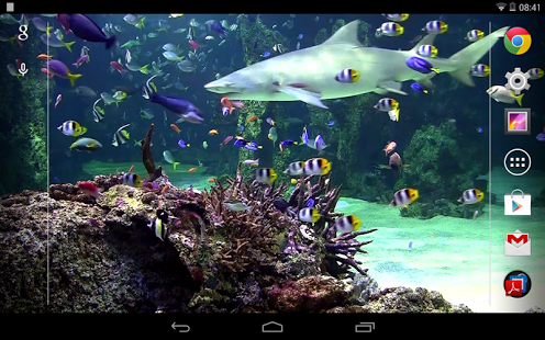 Aquarium live wallpaper