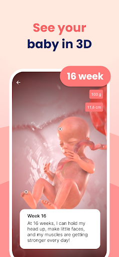 HiMommy: Ovulation & Pregnancy