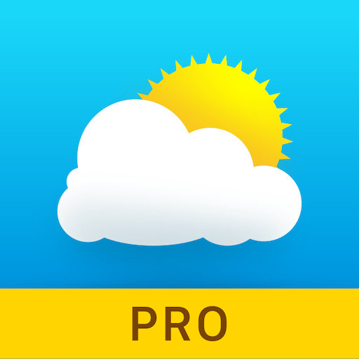 Weather – Meteored Pro News