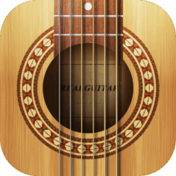 Real Guitar: acoustic electric