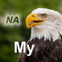 Nature My – North America