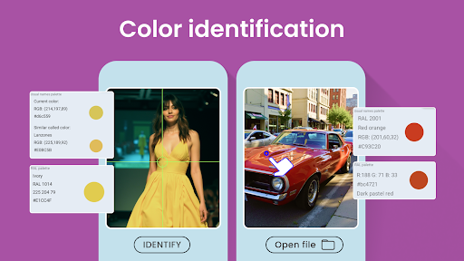 Color Identification