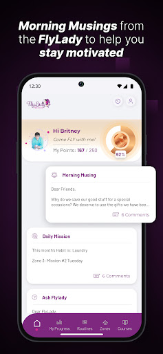 FlyLady: Routines & Cleaning