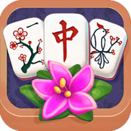 Mahjong Puzzle