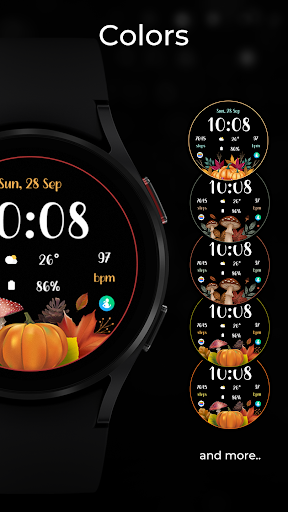 TVV Autumn 5 Watch Face