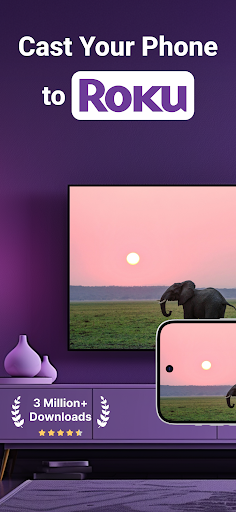 Roku Screen Mirror & Cast TV