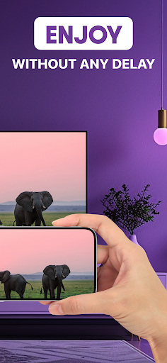 Roku Screen Mirror & Cast TV
