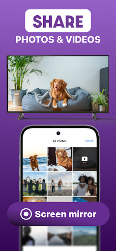Roku Screen Mirror & Cast TV