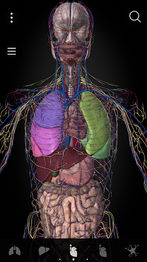 Anatomyka – 3D Anatomy Atlas
