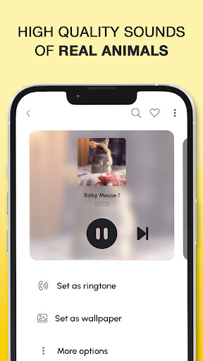 Animal Sounds and Ringtones