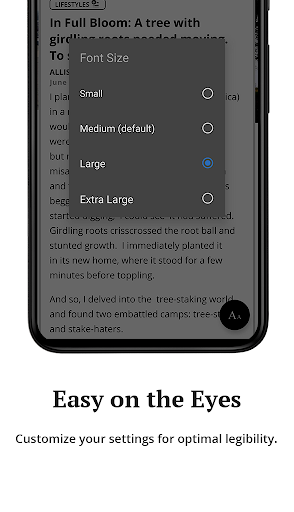 Allentown – Morning Call