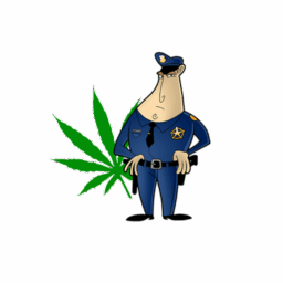 Dope Wars (Weed Edition)