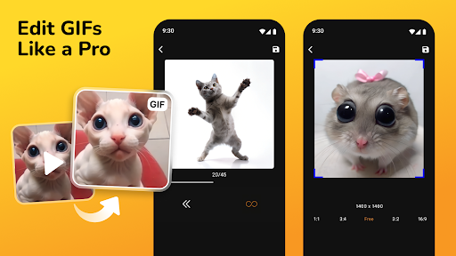 GIF Maker, Video to GIF Editor