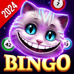Bingo Wonderland – Bingo Game