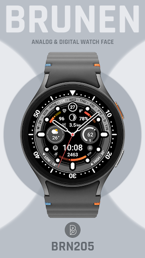 BRN205 : Watch Face