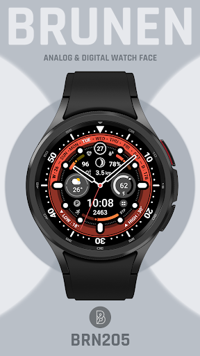 BRN205 : Watch Face