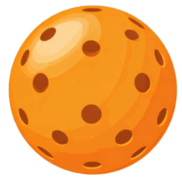PicklePip – WearOS Pickleball