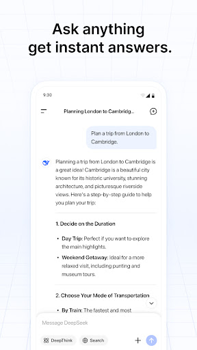 DeepSeek – AI Assistant
