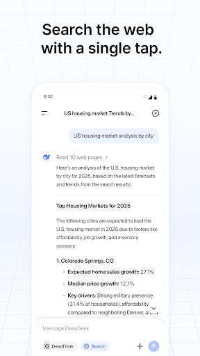 DeepSeek – AI Assistant