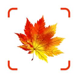 Plant Identifier App – EarthID
