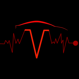 scan my tesla
