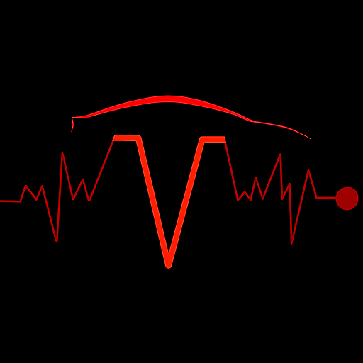 scan my tesla