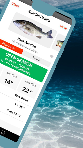 FishVerify: ID & Regulations