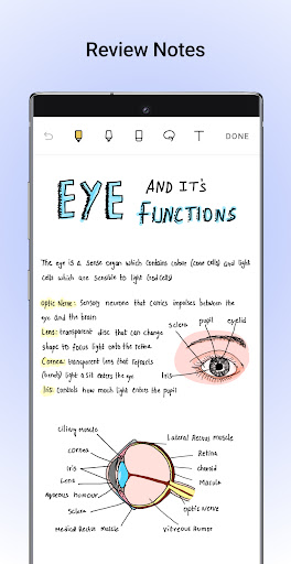 Noteshelf – Notes, Annotations