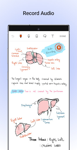 Noteshelf – Notes, Annotations