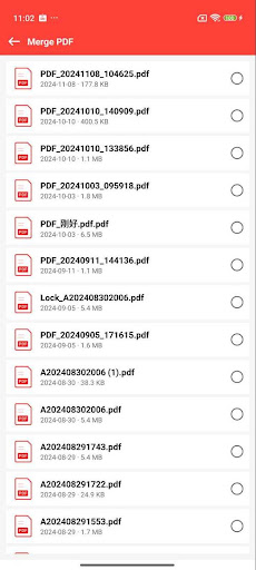 FLY PDF