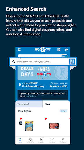 Food City