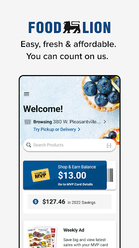 Food Lion