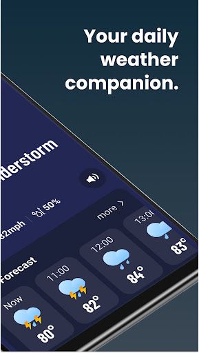 Live Weather: Daily Forecast