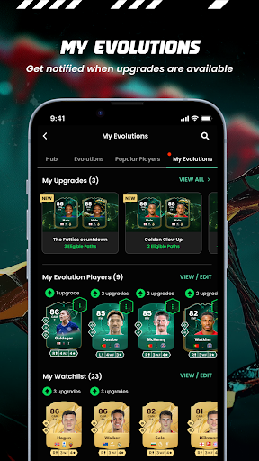 FUTBIN FC 26 Evolutions & More