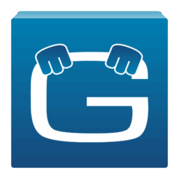 Geotab Drive