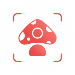 Picture Mushroom – Mushroom ID