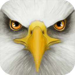 Ultimate Bird Simulator