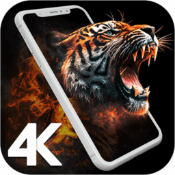 4K Wallpapers – HD Backgrounds