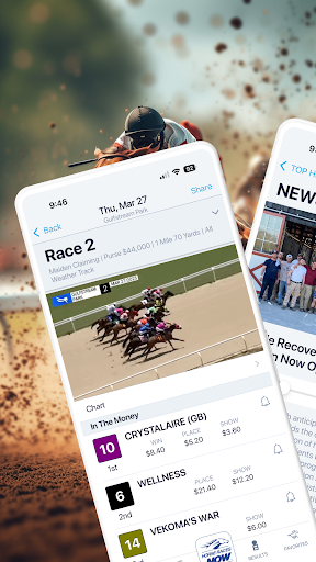 HorseRacesNow
