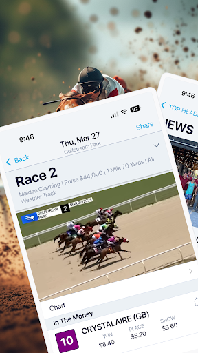 HorseRacesNow