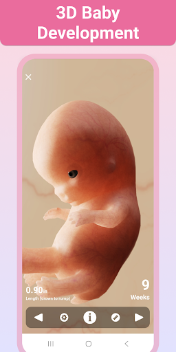 Pregnancy + | Tracker App