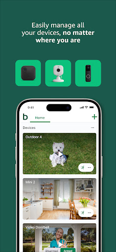Blink Home Monitor