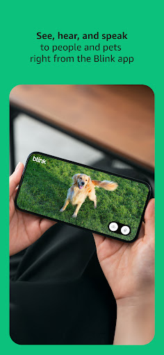 Blink Home Monitor