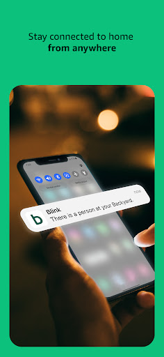 Blink Home Monitor